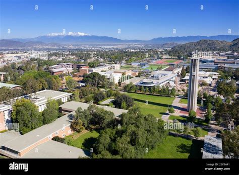 ucr riverside